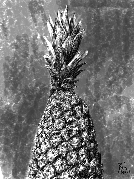 Monique bracht deze ananas mee uit Benin. Het riep zoete herinneringen op van onze tijd in Accra. Deze soort is iets slanker van formaat en grijzer van kleur dan de ananassen in de Nederlandse winkels. Ze smaken ongelooflijk lekker. In Ghana spraken ze over ‘sugarbread’.
